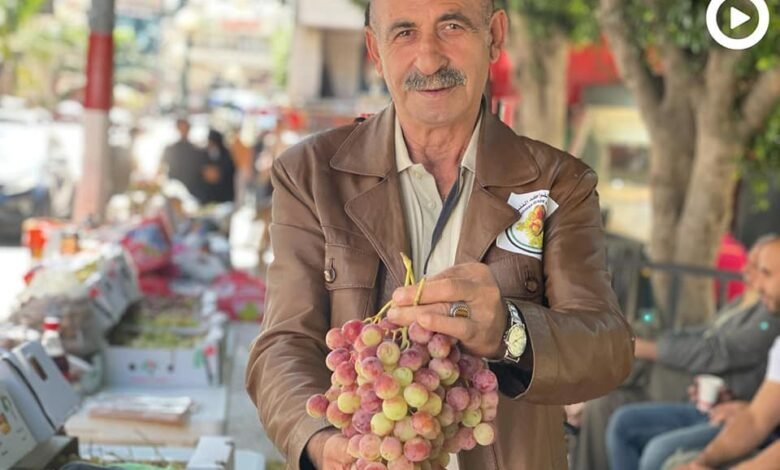 صورة صور | افتتاح سوق العنب الثالث في نابلس