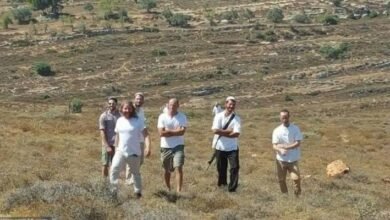 صورة 7 إصابات في هجوم للمستوطنين على مادما جنوب نابلس