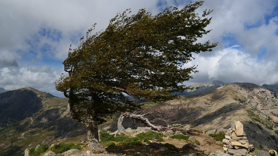 أجواء عاصفة ستبدأ من الغد وتحذيرات من شدة سرعة الرياح