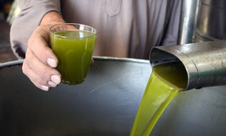 صورة في ظل شحّ الموسم هذا العام .. كم يبلغ سعر لتر زيت الزيتون ؟