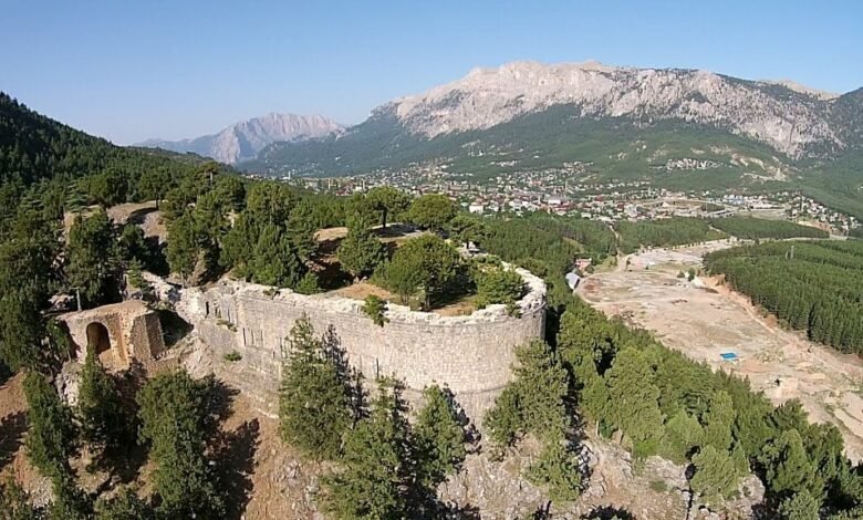 صورة كشف اللثام عن المعنى الحقيقي لاسم عائلة “أبوزنط”