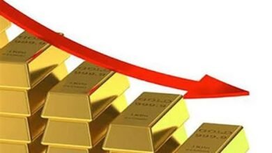 صورة الذهب يهبط بقوة ويقترب من محو مكاسب العام