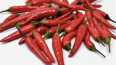 صورة الفلفل الحار وضغط الدم .. “لغز صحي” يكشفه العلماء