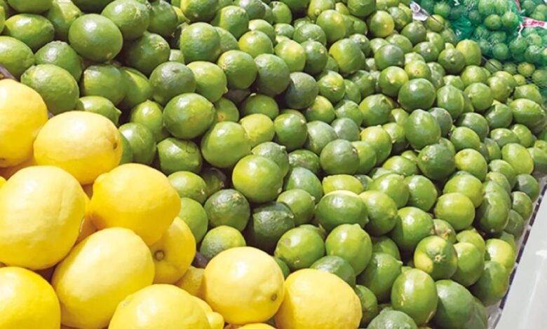 صورة فلسطين تُصدر أكثر من 120 طن من الليمون إلى الإمارات الشهر الماضي