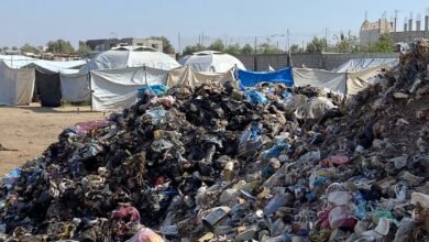 صورة الفئران تقتحم أحلام أطفال غزة وتنهش ما تبقى من الحياة
