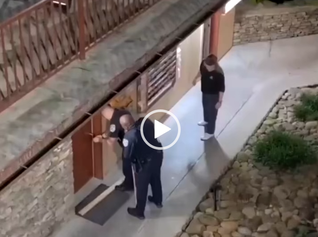 الشرطة تنقذ دباً حبس نفسه في حمام فندق !