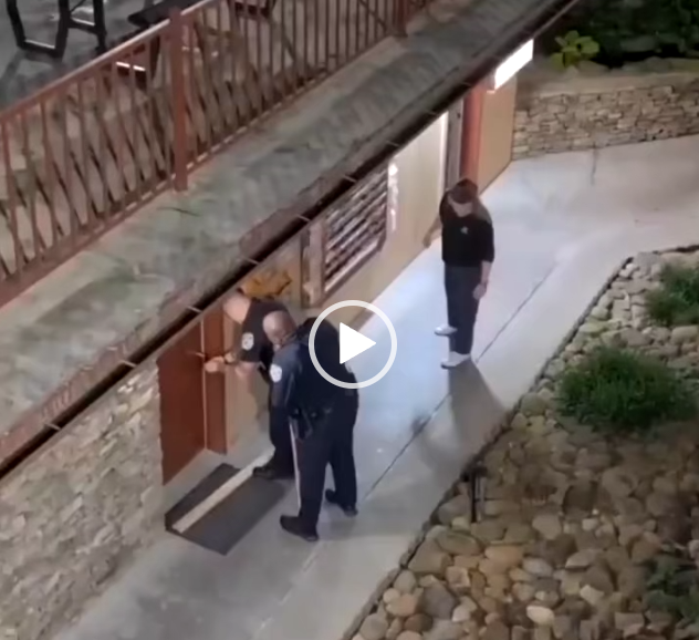 الشرطة تنقذ دباً حبس نفسه في حمام فندق !