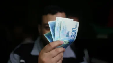 صورة هل سيتم صرف دفعة من رواتب الموظفين قبل عيد الأضحى؟! .. خبير اقتصادي يُجيب