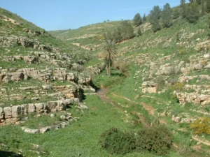 وادي الفارعة تطالب بجلسة حكومية في الأغوار