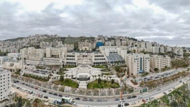 صورة جامعة النجاح ضمن أفضل 50 جامعة عالميًا في تصنيف مؤسسة التايمز العالمية للاستدامة لعام 2026