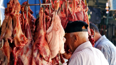 صورة نقابة الملاحم: انخفاض محدود بأسعار لحم العجل وتوقعات بتراجع أكبر