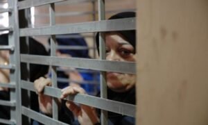 انتشار مرض سكابيوس