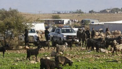 صورة “بتسيلم”: 47 عائلة فلسطينية تواجه خطر التهجير الوشيك في الإغوار
