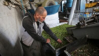 صورة فياض يدعو لإنشاء “بنك للزيت الفلسطيني” لحماية المزارعين وضبط الأسعار
