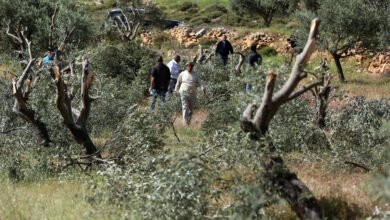 صورة سلطات الاحتلال تصدر أوامر عسكرية لتجريف 339 دونماً في جنين ورام الله