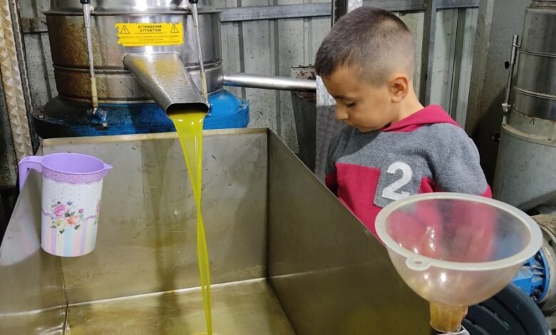 أطنان من الزيت المغشوش يغزو الأسواق ويهدد موائد الفلسطينيين