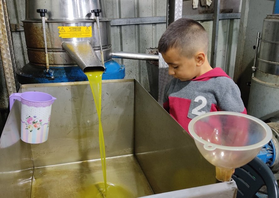 أطنان من الزيت المغشوش يغزو الأسواق ويهدد موائد الفلسطينيين