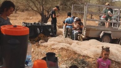 صورة المفتي العام: شراء زيت الزيتون وثماره من المستوطنين حرام شرعا