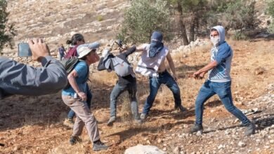 صورة مستوطنون يهاجمون قاطفي الزيتون في نابلس والاعتداءات تتصاعد بالضفة