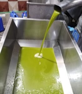 زيت الزيتون